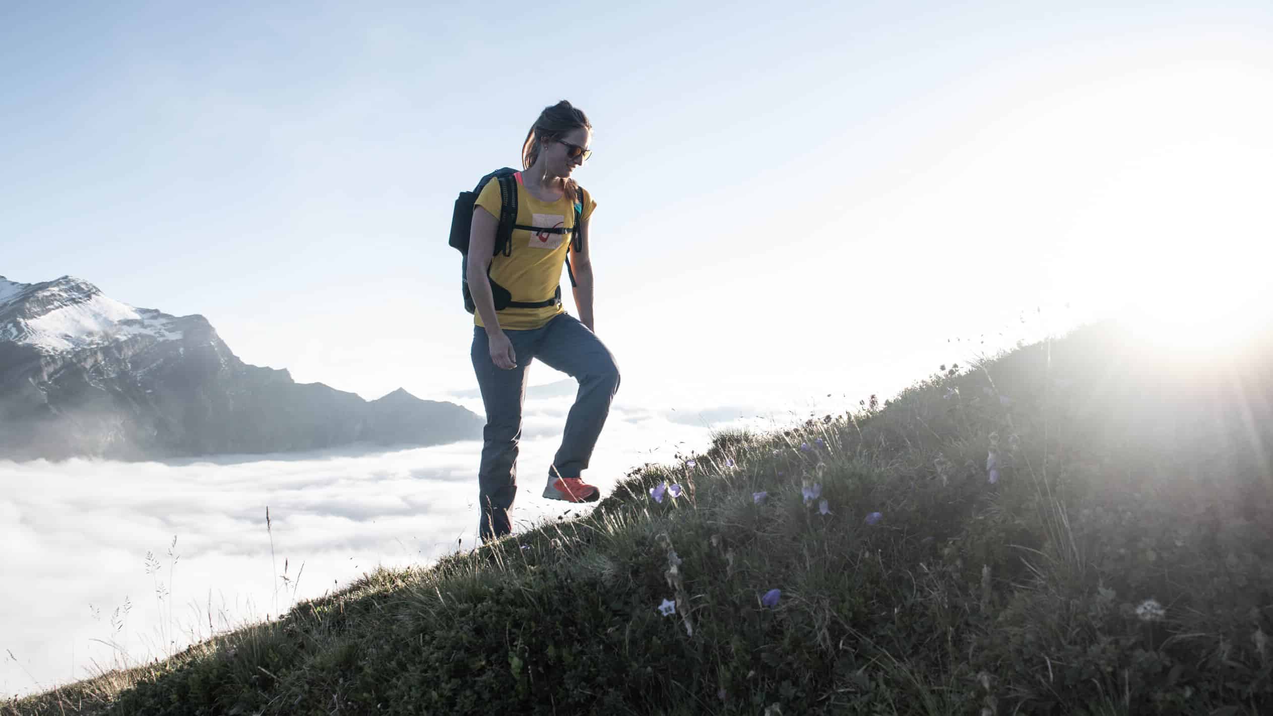 Advance Pi 3 Hike and fly 2